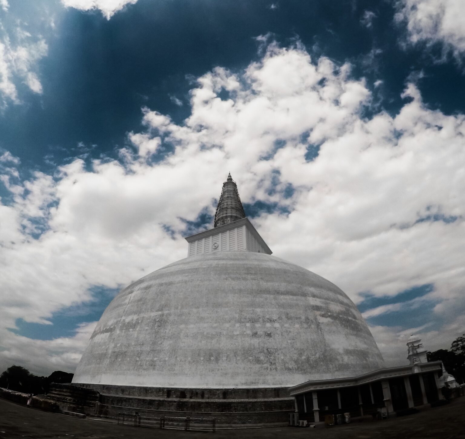tharaka-jayasuriya-SHscu_WAd5o-unsplash